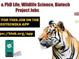 WII Project Vacancies
