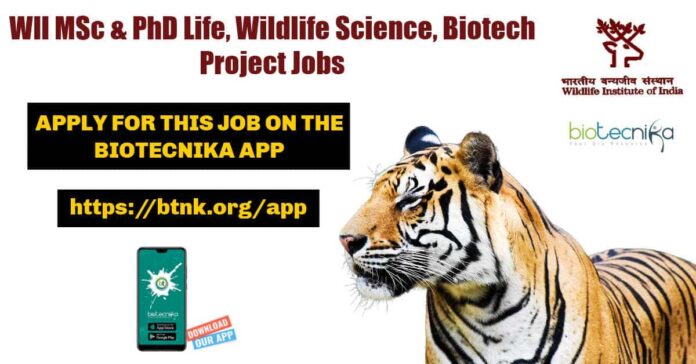 WII Project Vacancies