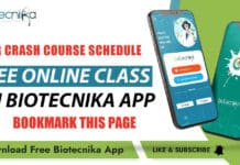 Crash Course Schedule