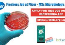Freshers Job at Pfizer, Senior Executive Microbiology – Apply Online Freshers Job at Pfizer