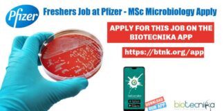 Freshers Job at Pfizer