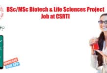 Govt CSRTI Biotech & Life Sciences Project Assistant Recruitment Govt CSRTI Biotech &