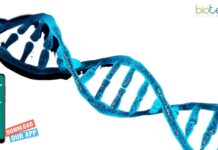 IASST Project Assistant Vacancy For Biological Sciences, Apply Online IASST Project Assistant Vacancy