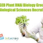 ICGEB Plant RNAi Biology Group Life & Biological Sciences Recruitment ICGEB Biological Sciences SRF