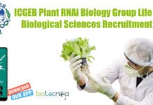 ICGEB Plant RNAi Biology Group Life & Biological Sciences Recruitment ICGEB Biological Sciences SRF
