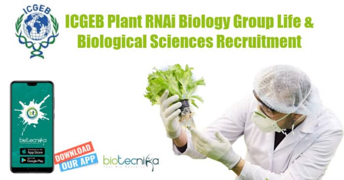 ICGEB Biological Sciences SRF