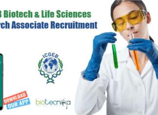 ICGEB Jobs -