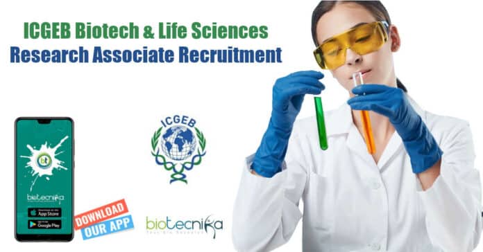 ICGEB Jobs -