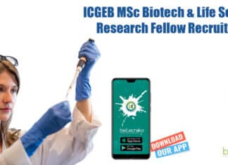 ICGEB Vacancy Available