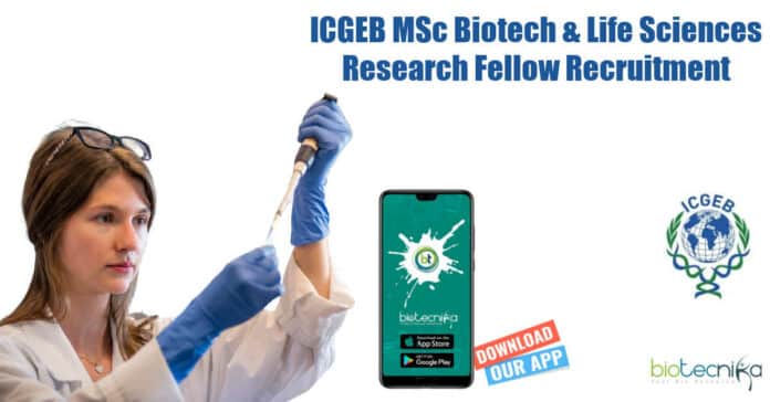 ICGEB Vacancy Available