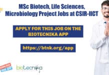 CSIR-Indian Institute of Chemical Technology Project Recruitment IICT Project Job Openings