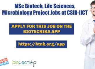 IICT Project Job Openings