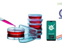 IISER Mohali BSc Life Sciences Project Assistant Job Opening IISER Mohali BSc