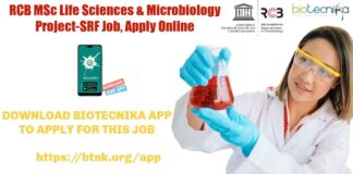 MSc Project Jobs