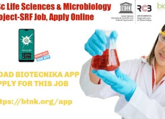 MSc Project Jobs