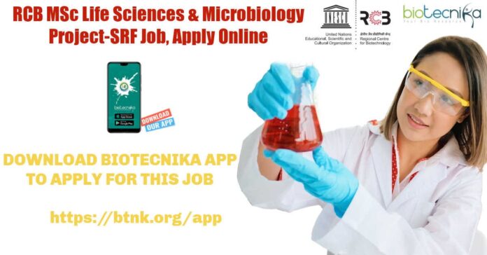 MSc Project Jobs