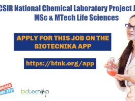 NCL Pune Project Jobs