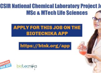 NCL Pune Project Jobs