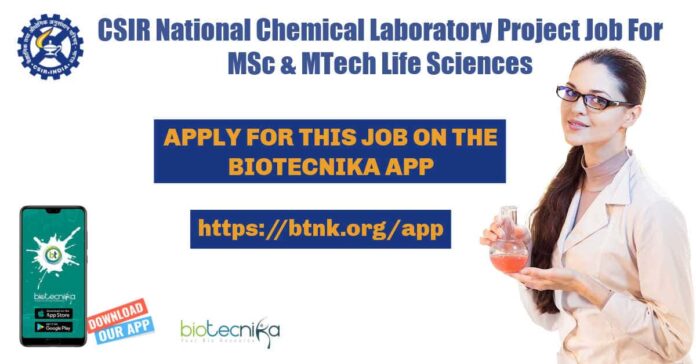 NCL Pune Project Jobs
