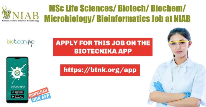 NIAB Associate Job