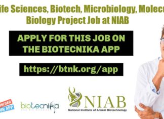 NIAB Project Assistant Recruitment