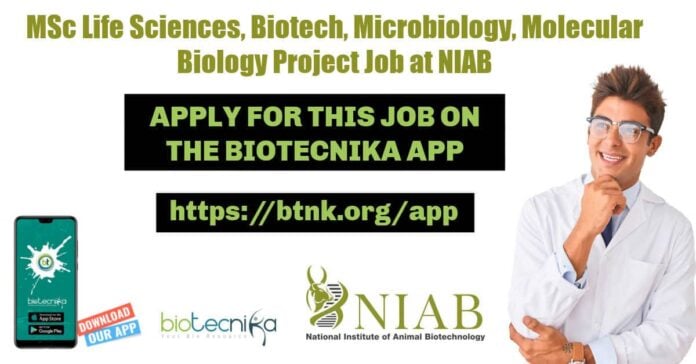 NIAB Project Assistant Recruitment
