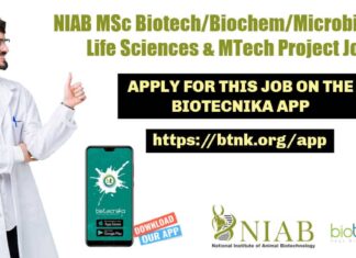 NIAB Project Associate Jobs