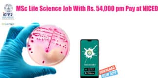 NICED Vacancy