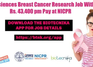 NICPR Cancer Research Fellow