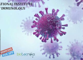 NII Delhi Research Project