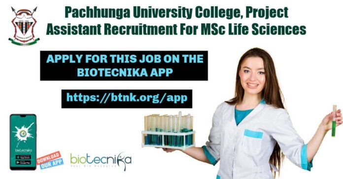 Pachhunga University College