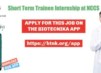 Short Term Trainee Internship