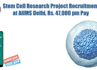 Stem Cell Research