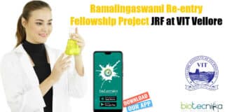 VIT Vellore Fellow Jobs