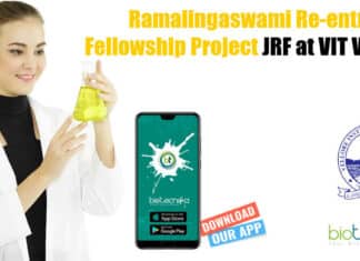 VIT Vellore Fellow Jobs