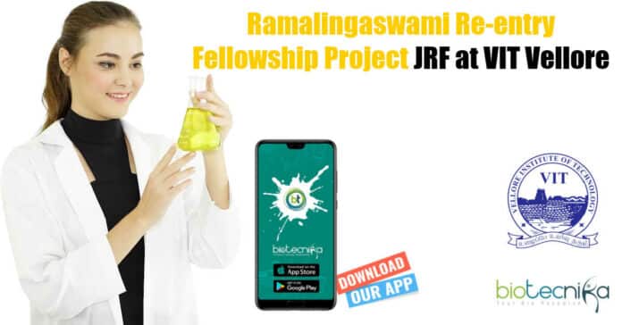 VIT Vellore Fellow Jobs
