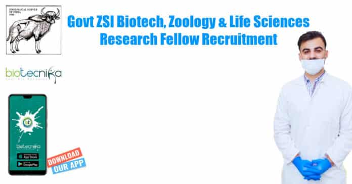 ZSI Biotech, Zoology