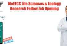 MoEFCC Life Sciences & Zoology Research Fellow Job Opening ZSI Zoology & Life