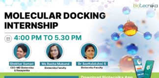 Molecular Docking Internship