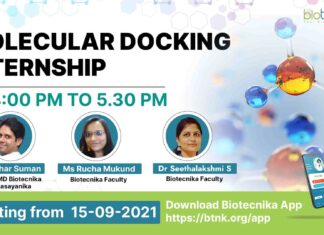 Molecular Docking Internship