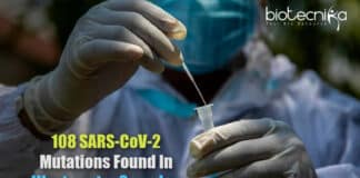 108 SARS-CoV-2 Mutations In Wastewater