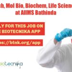 AIIMS Bathinda JRF Job