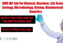BHU JRF Job For Biotech, Biochem, Life Sciences – Applications Invited BHU JRF Job