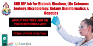 BHU JRF Job