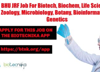 BHU JRF Job