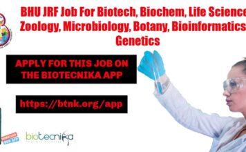 BHU JRF Job For Biotech, Biochem, Life Sciences – Applications Invited BHU JRF Job