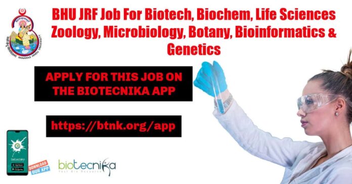BHU JRF Job