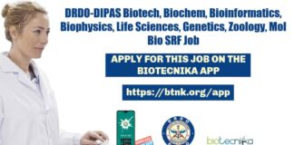 DIPAS Research Fellow Job