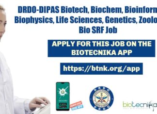 DIPAS Research Fellow Job