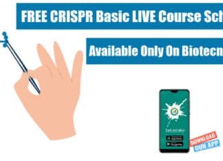 CRISPR Basic LIVE Course